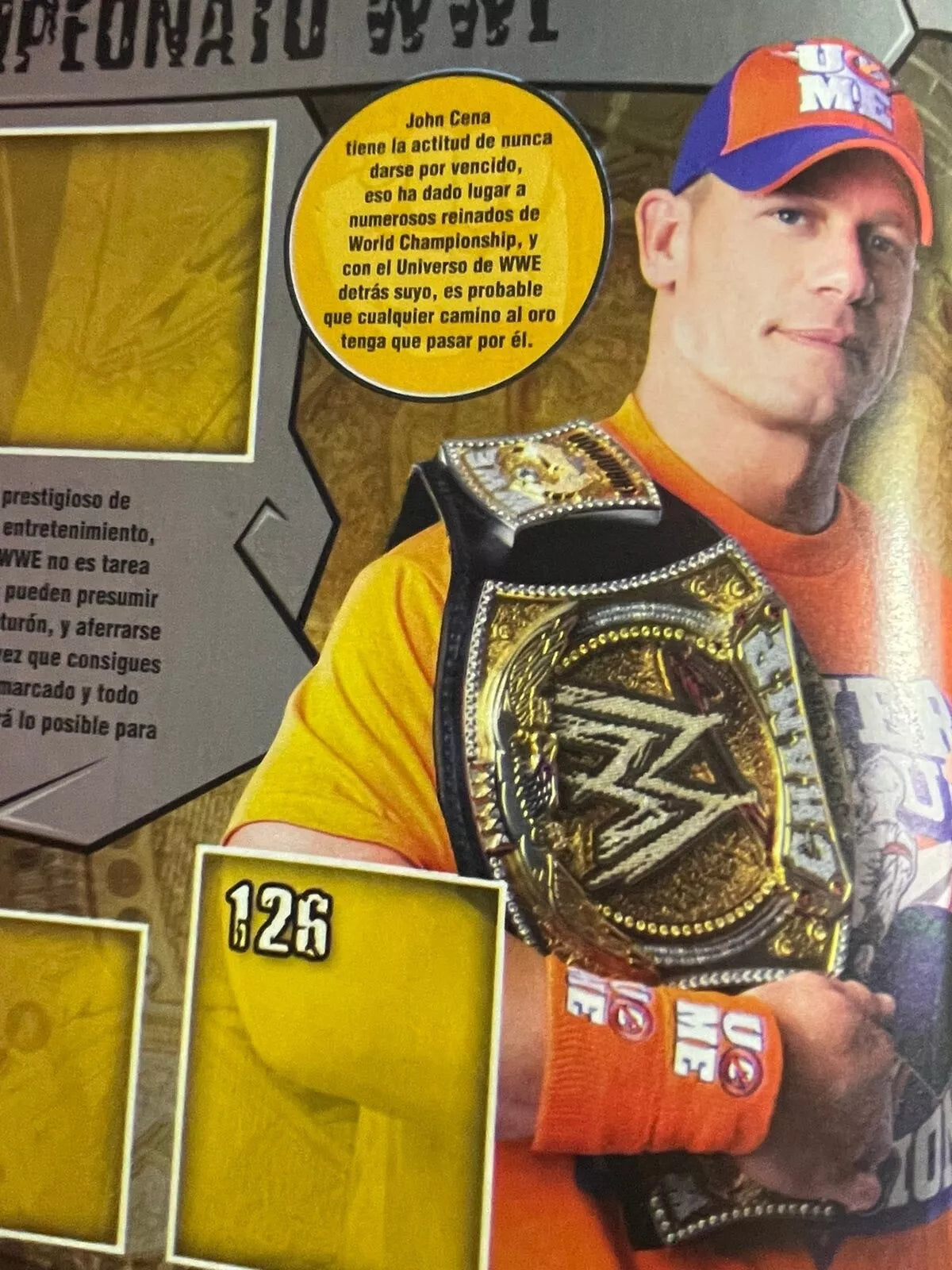 WWE Icons Stickers Album 2010 Stickers Album PW Catalog