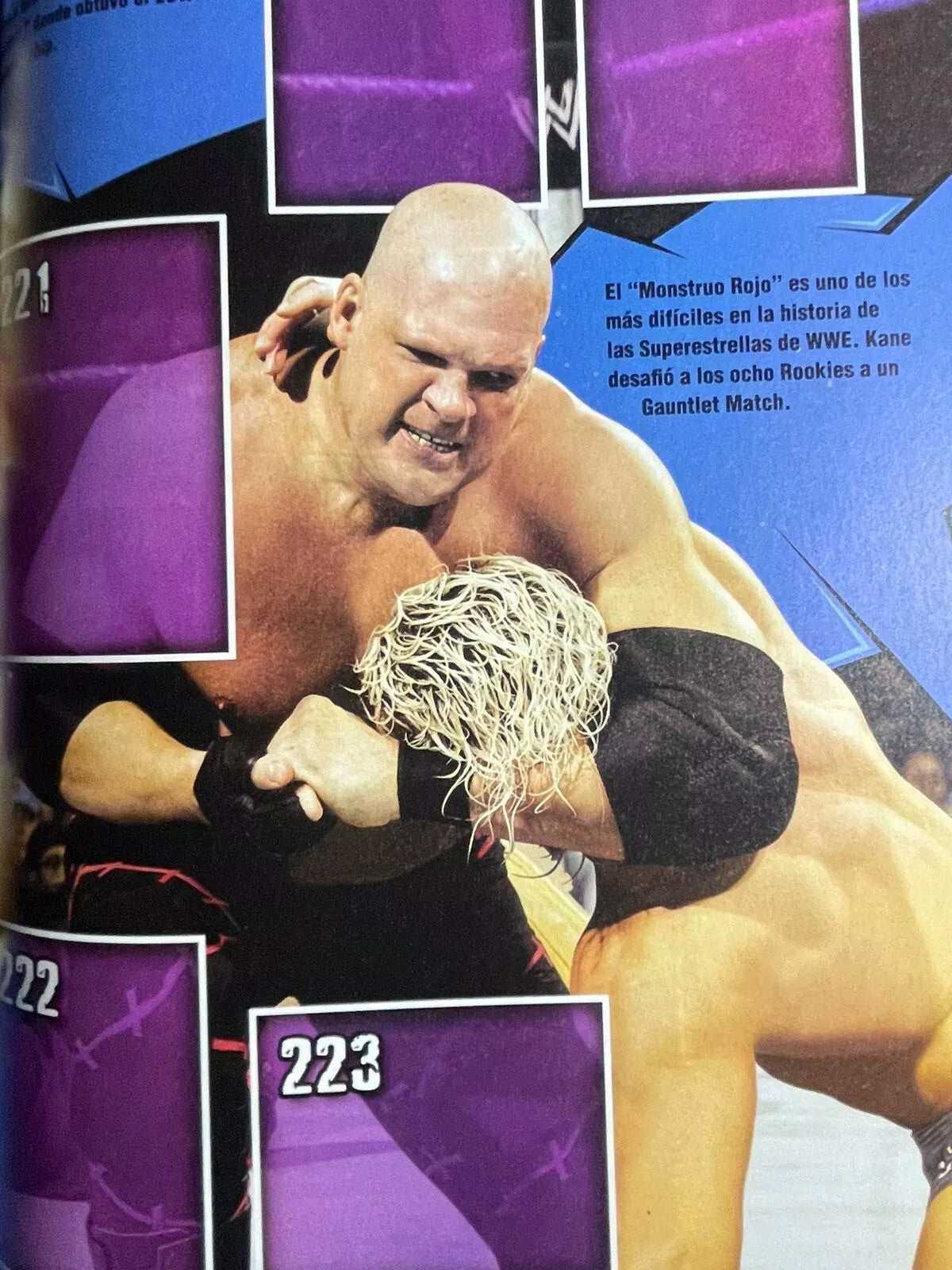 WWE Icons Stickers Album 2010 Stickers Album PW Catalog