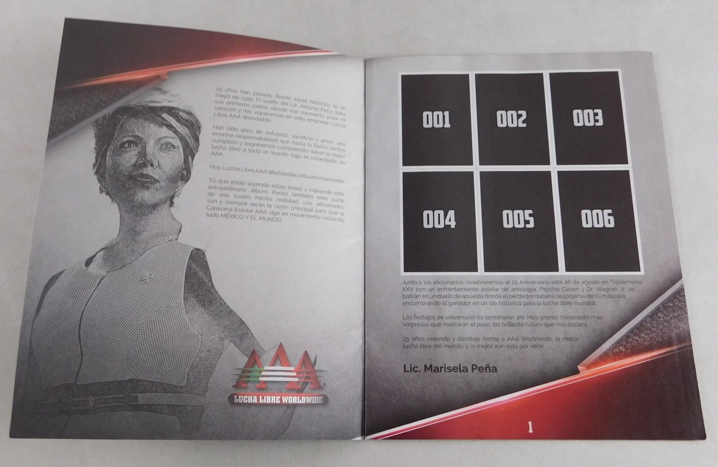 AAA 25 Aniversario Stickers Album 2017 From Mexico Stickers Album PW Catalog