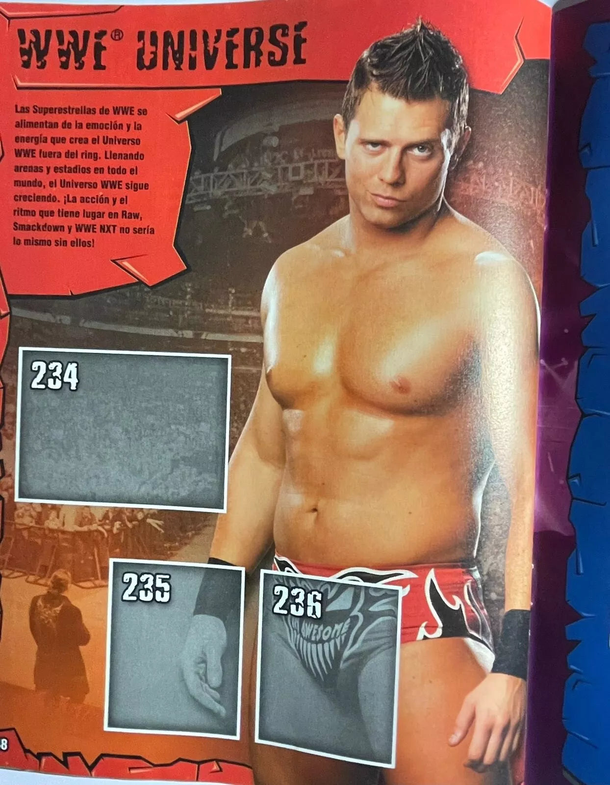 WWE Icons Stickers Album 2010 Stickers Album PW Catalog