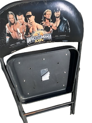 WrestleMania 24 - image 2