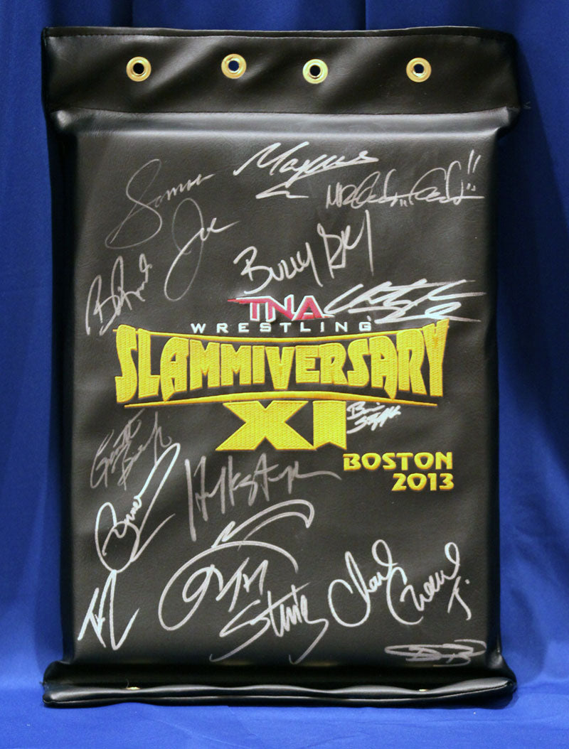 2013 PPV Used Turnbuckles