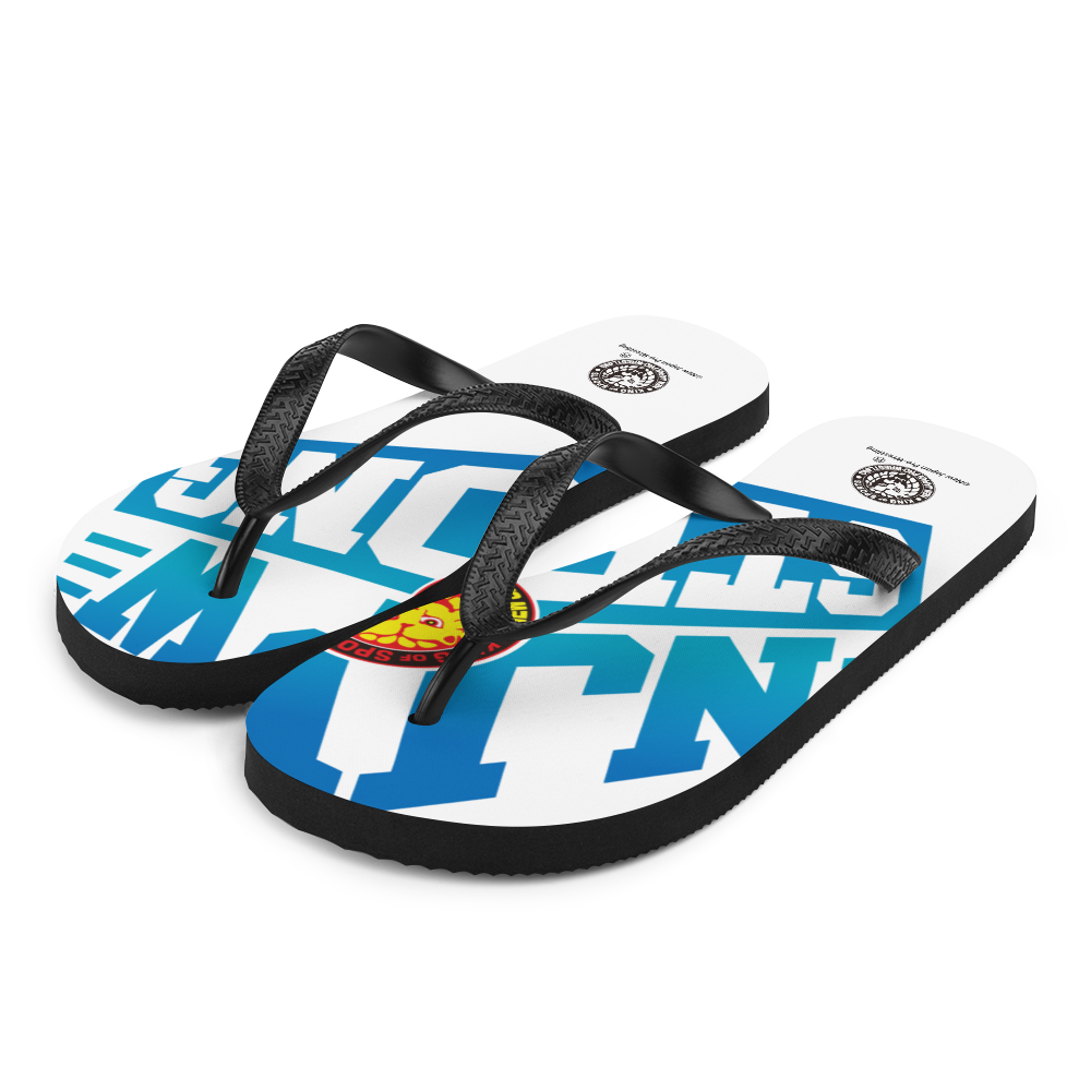 NJPW Strong Flip-Flops Other Goods PW Catalog