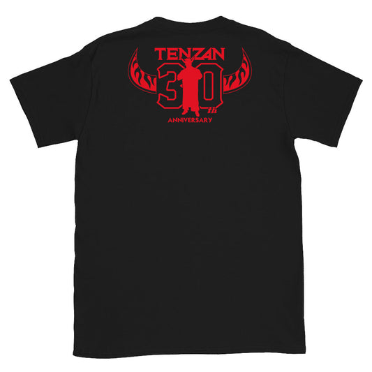 Hiroyoshi Tenzan - 30 year T-Shirt T-Shirt PW Catalog