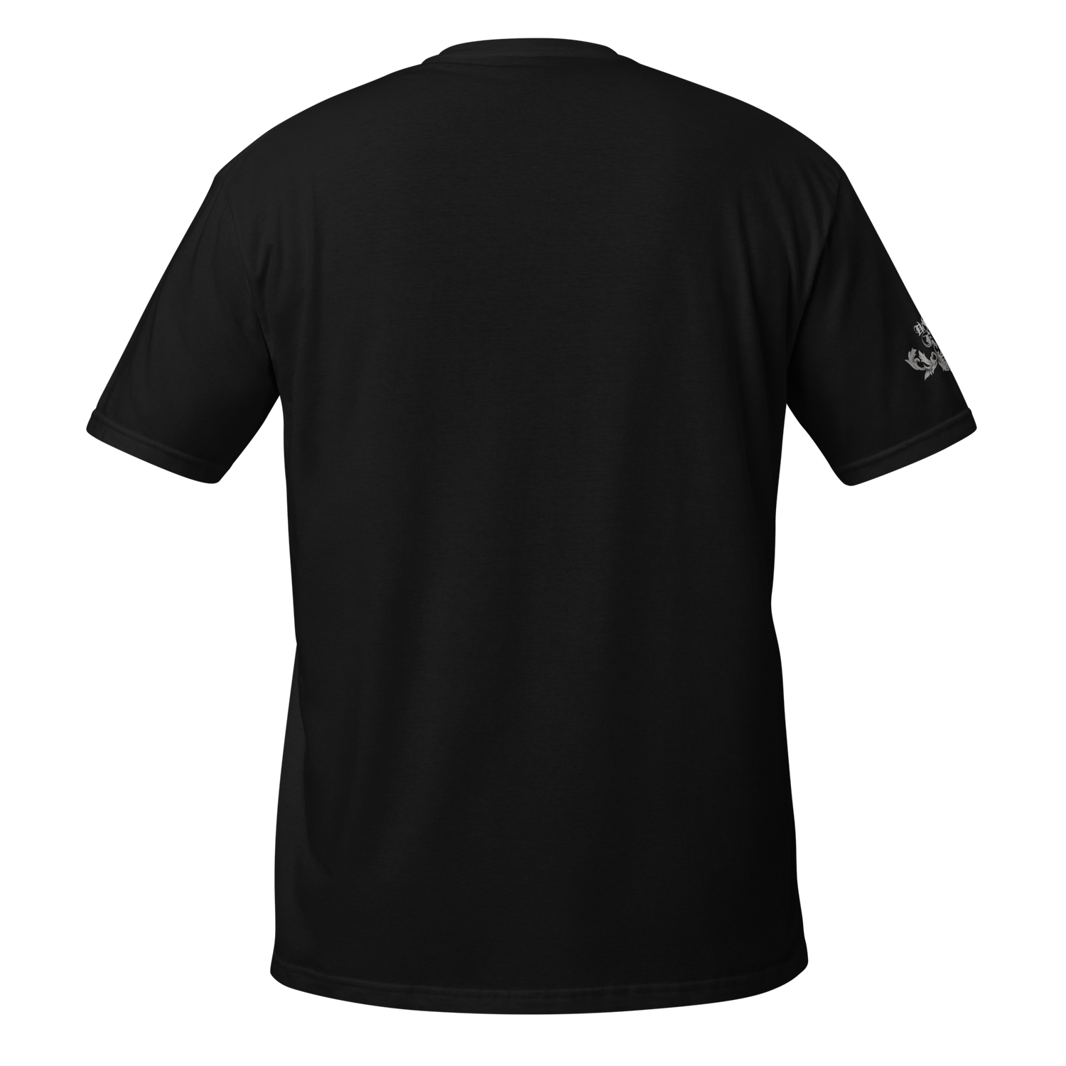 Taichi - Seitei T-Shirt (Black) T-Shirt PW Catalog