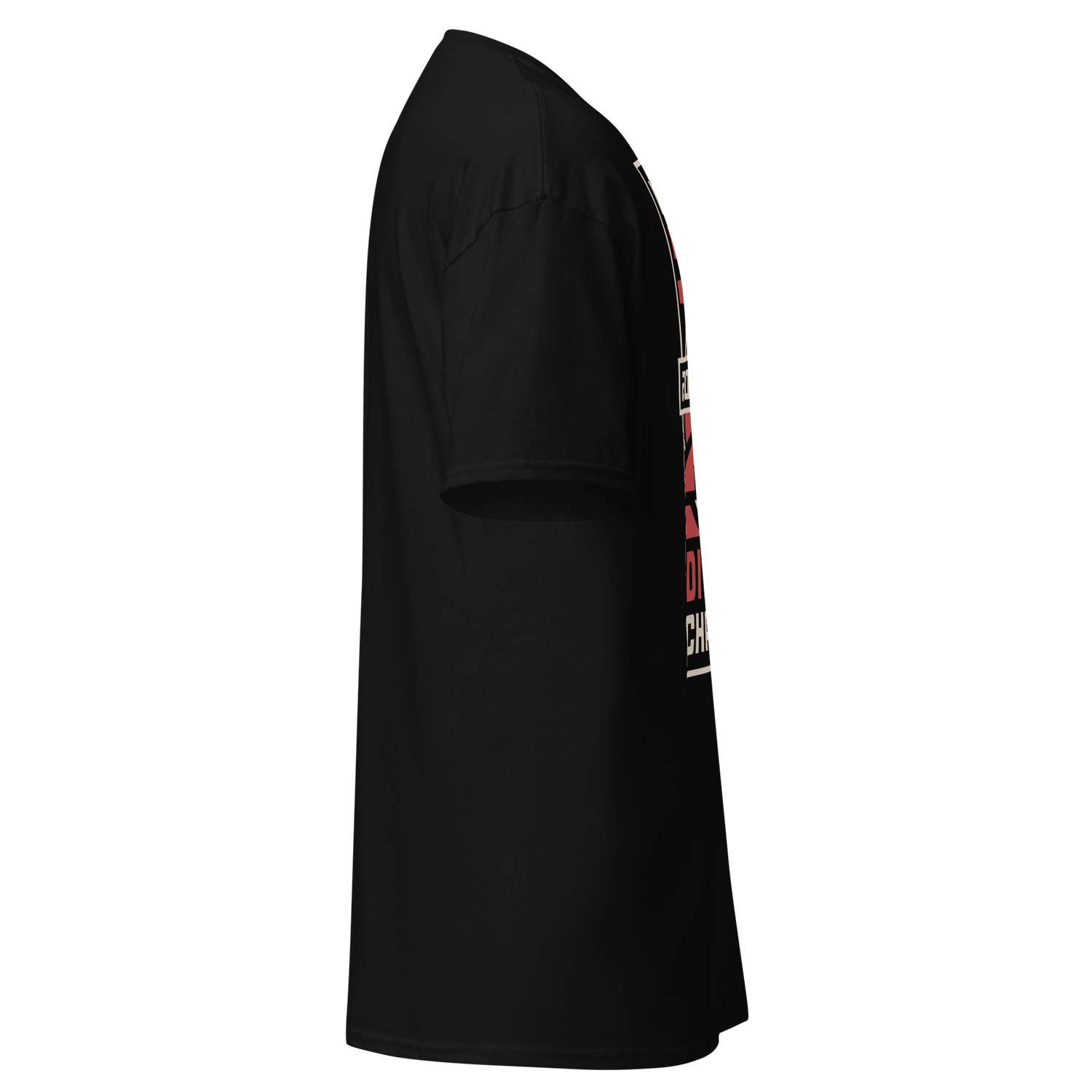 2024 Mustafa Ali "Vote" T-Shirt T-Shirt PW Catalog