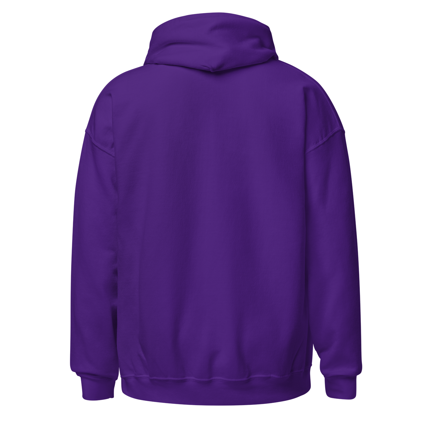 The Hardys "4x World Tag Champions" Hoodie Hoodie PW Catalog