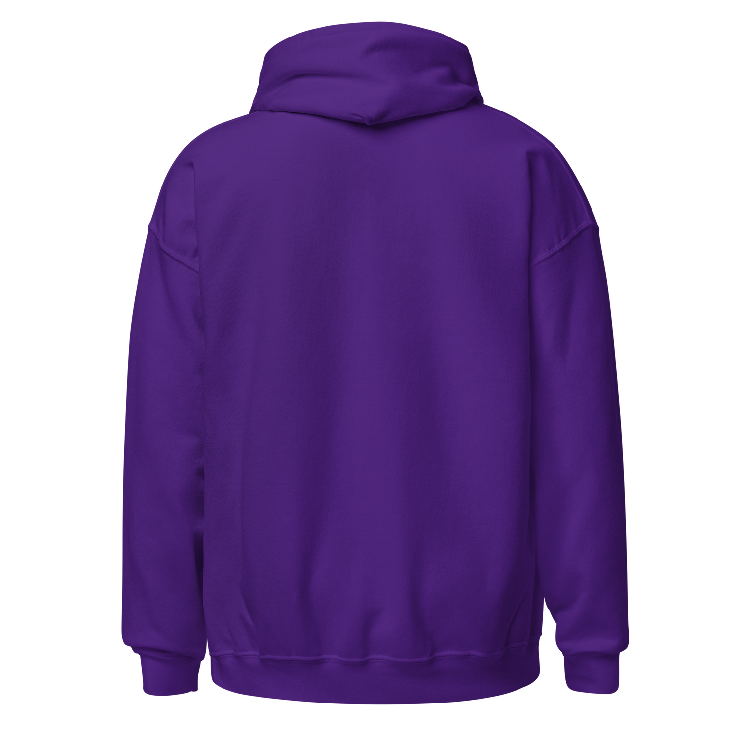 The Hardys "4x World Tag Champions" Hoodie Hoodie PW Catalog