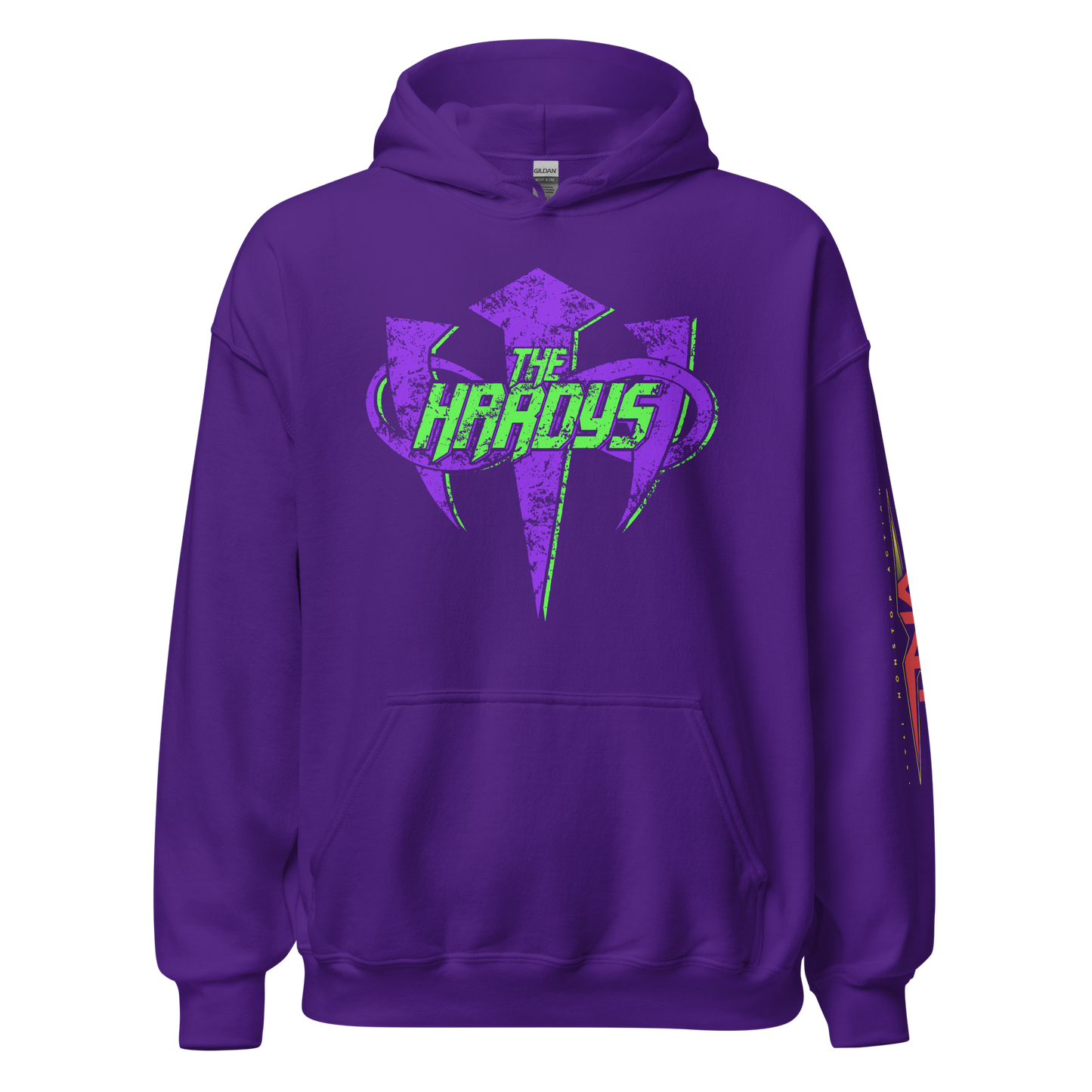 The Hardys "Distressed Infinity Logo" Hoodie Hoodie PW Catalog