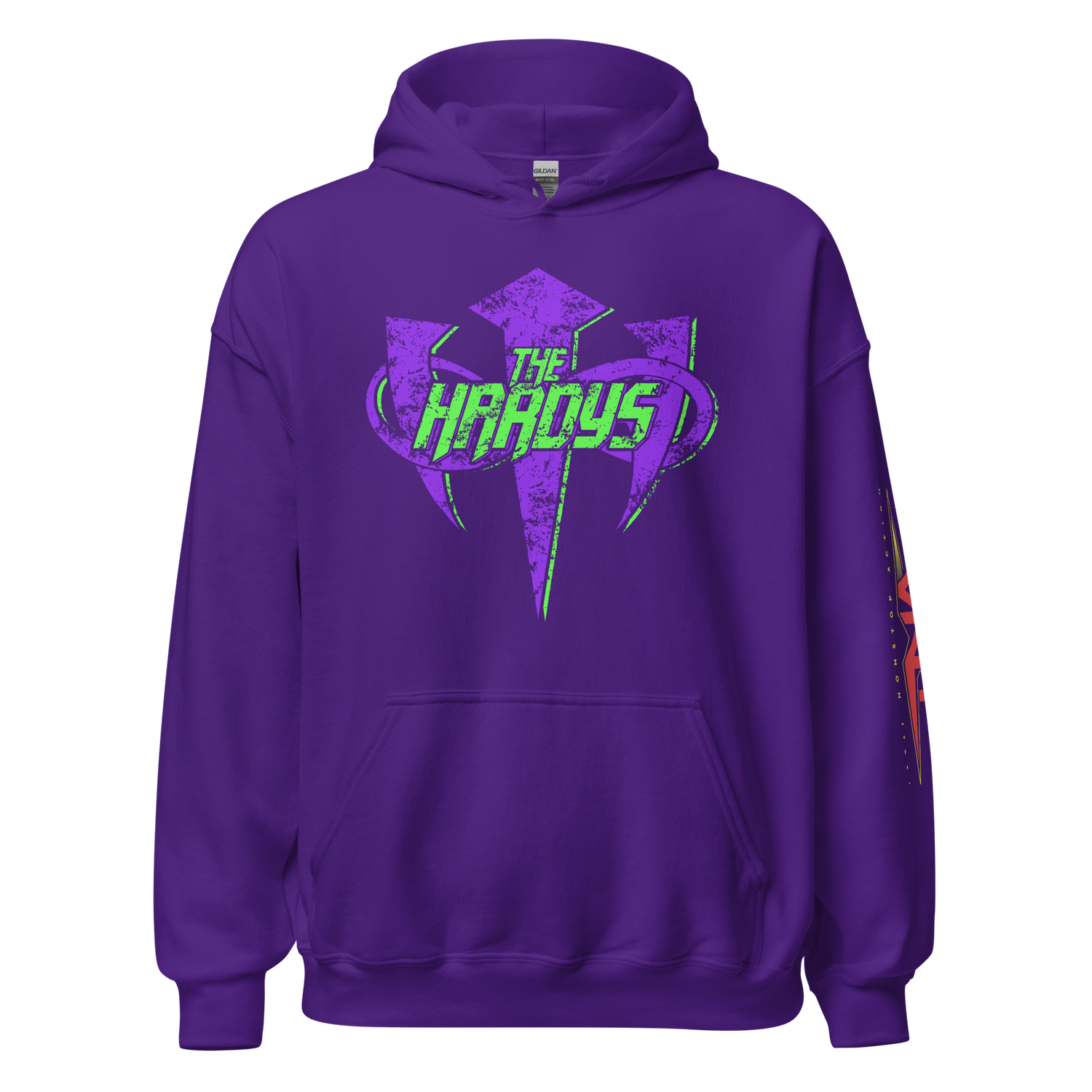 The Hardys "Distressed Infinity Logo" Hoodie Hoodie PW Catalog