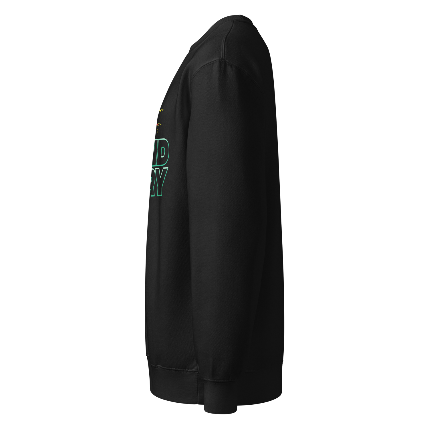 TNA "Bound For Glory Logo" Sweatshirt Sweatshirt PW Catalog
