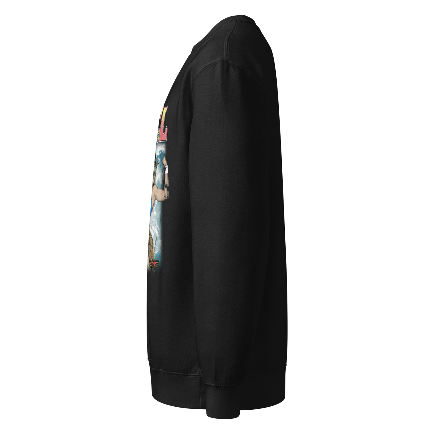 Angel Warriors "Firs & Ice" Sweatshirt Sweatshirt PW Catalog