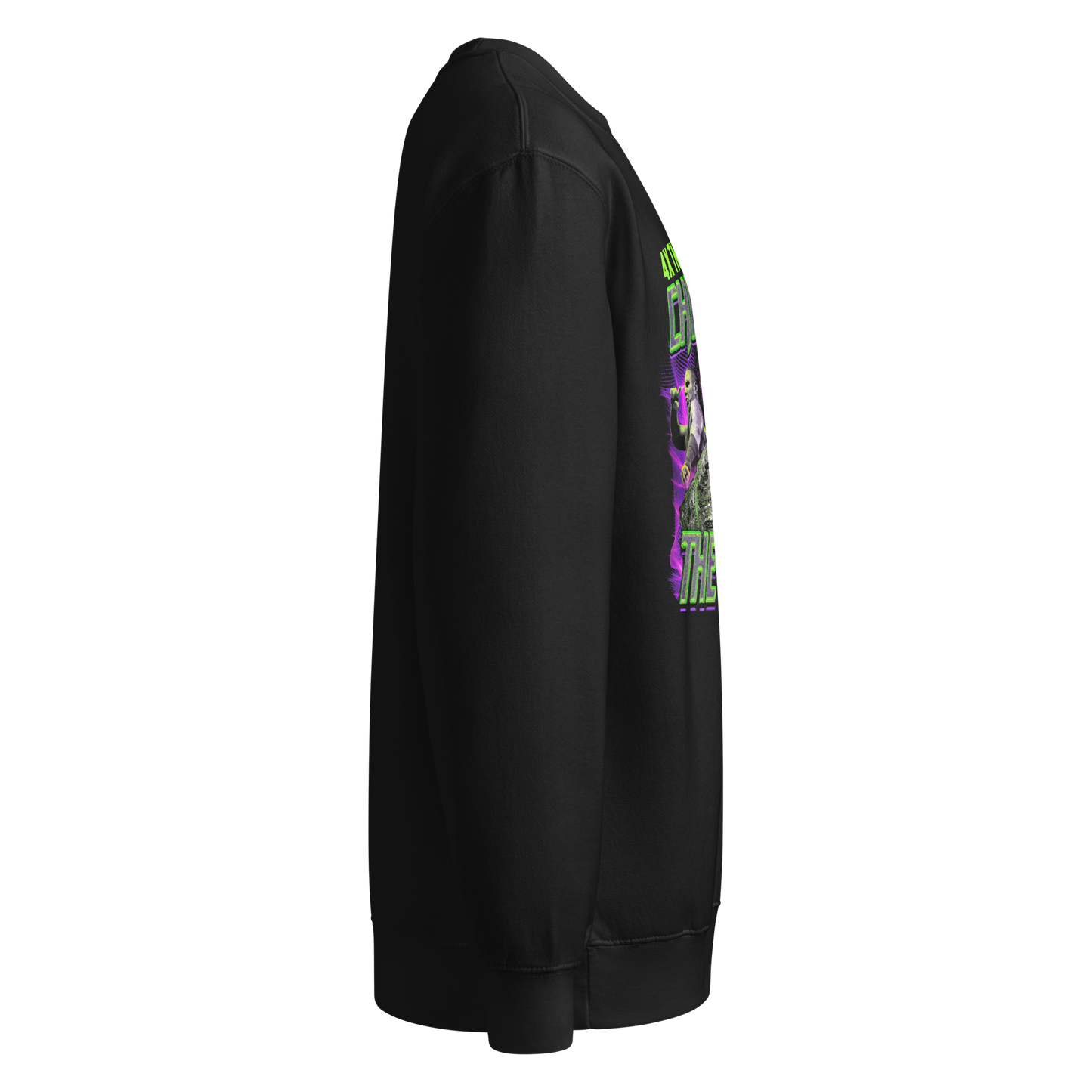 The Hardys "4x World Tag Champions" Sweatshirt Sweatshirt PW Catalog