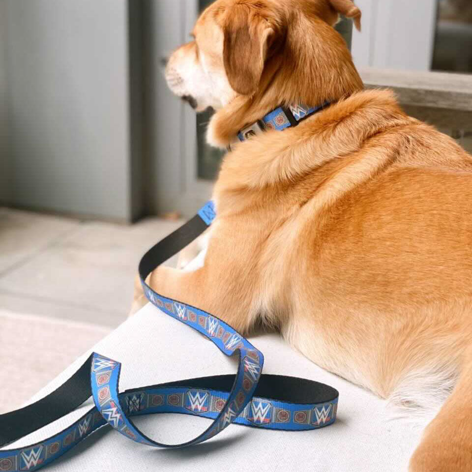 Universal Championship Dog Leash