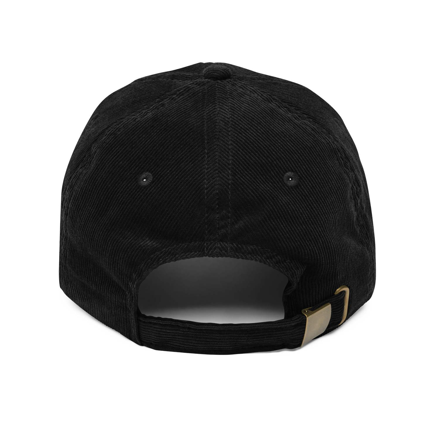 TNA Logo Corduroy Baseball Hat Baseball Hats PW Catalog