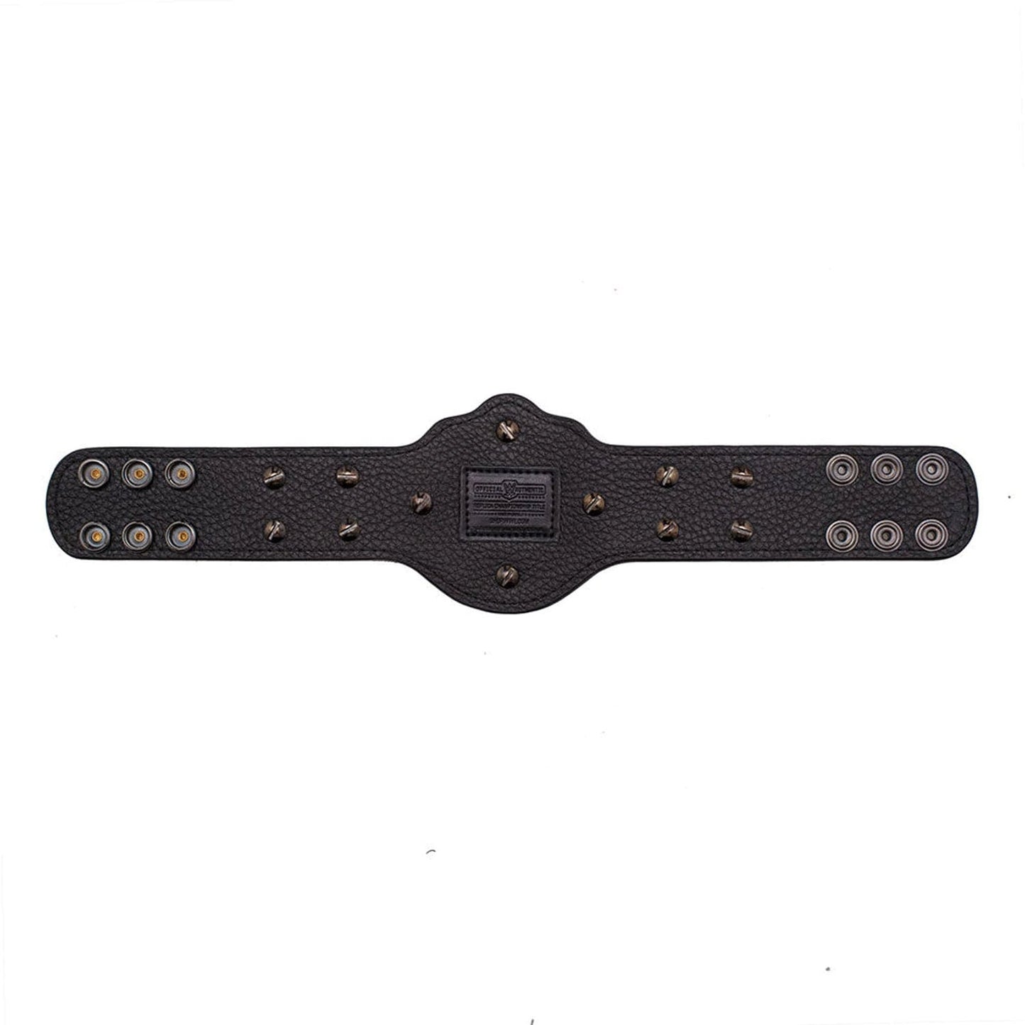 WCW Heavyweight Championship Mini Replica Title Belt