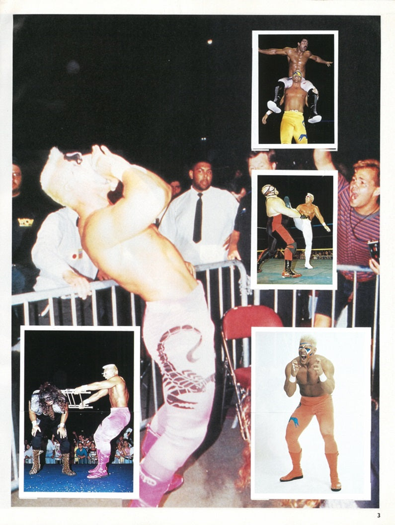 WCW Stickers Album 1992 UK Exclusive Stickers Album PW Catalog