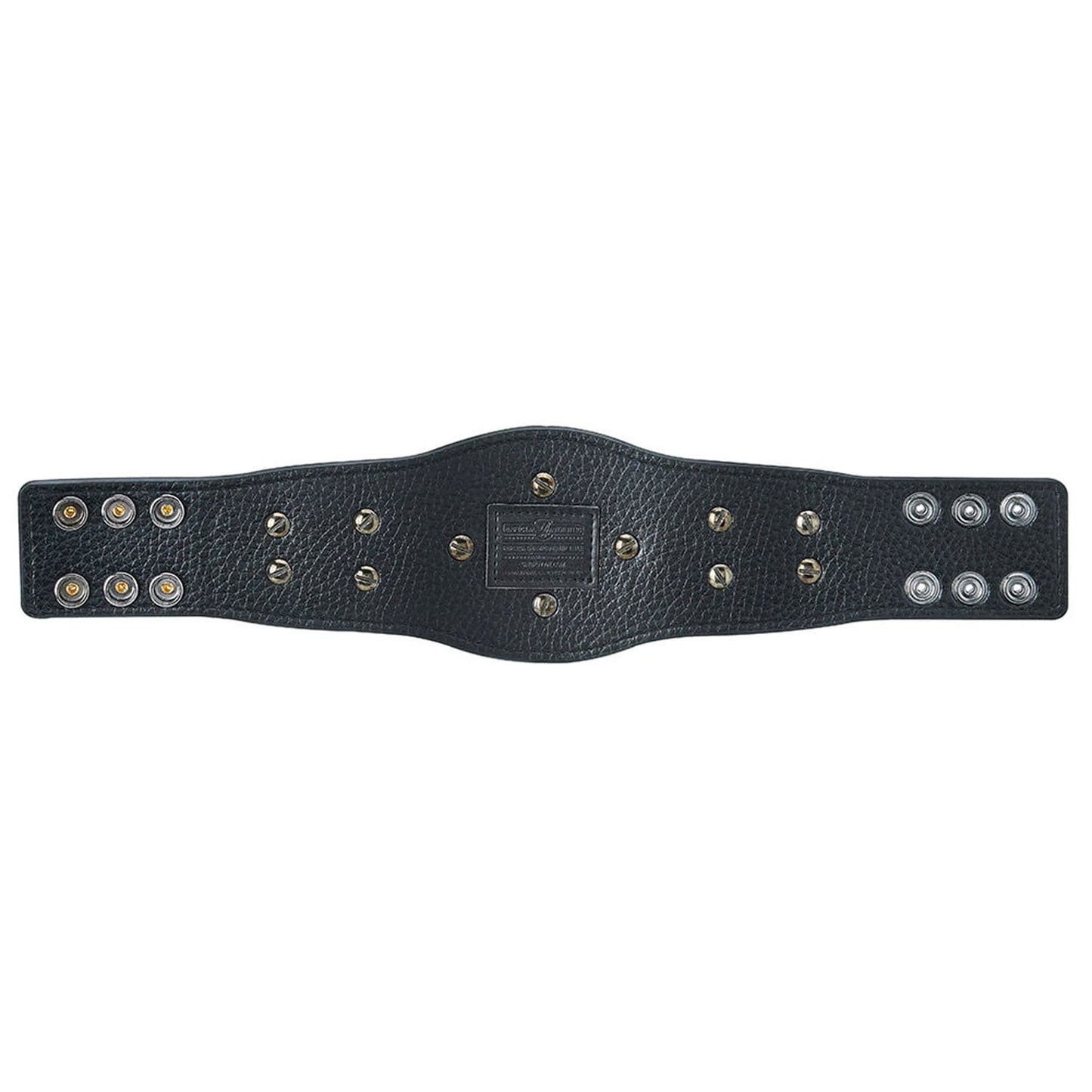 WWE Attitude Era Intercontinental Championship Mini Replica Title - image 3
