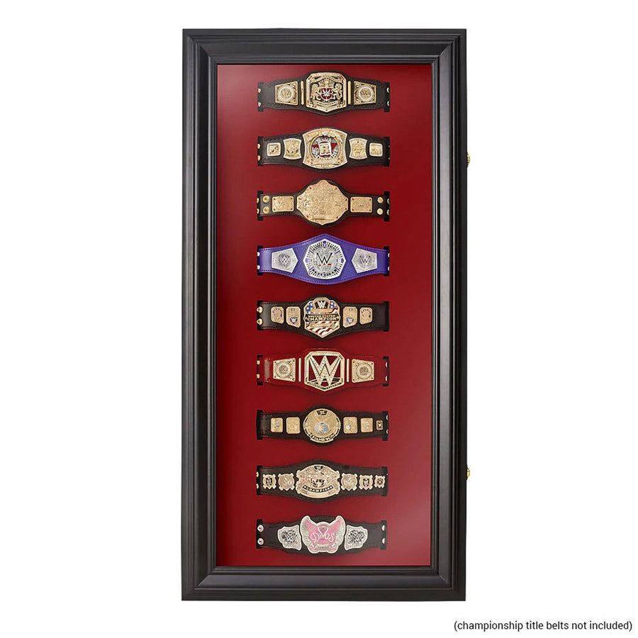 WWE Mini Replica Title Collector Case Replica Title Belt PWcatalog