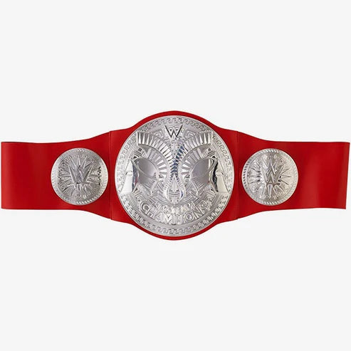 WWE Raw tag team Championship 2024