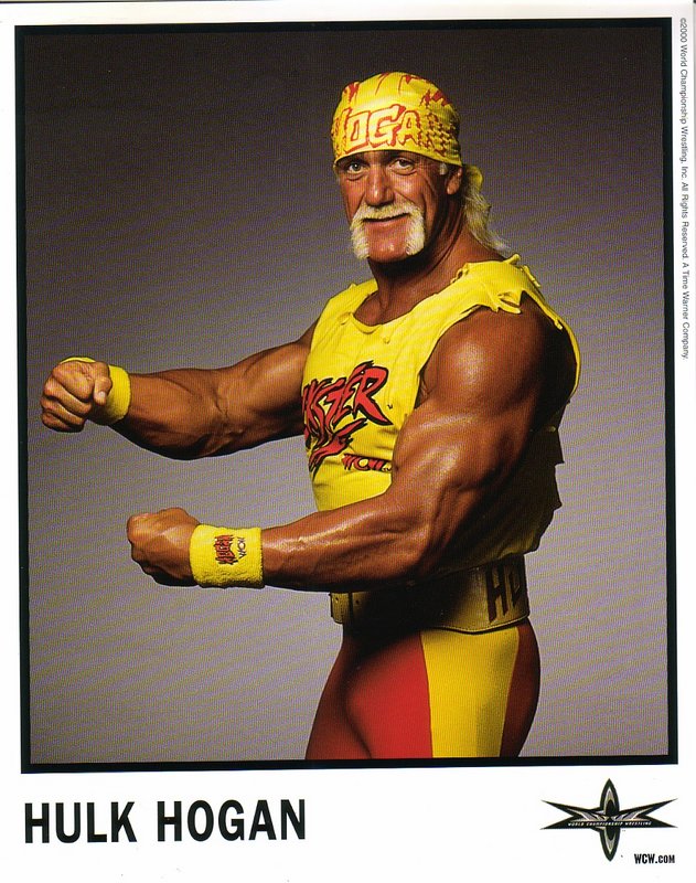 WCW Hulk Hogan PW Catalog