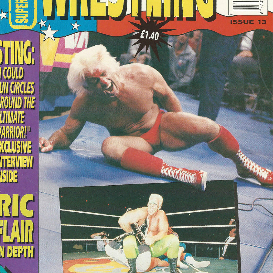 Superstars of Wrestling Volume 13 Magazine PWcatalog
