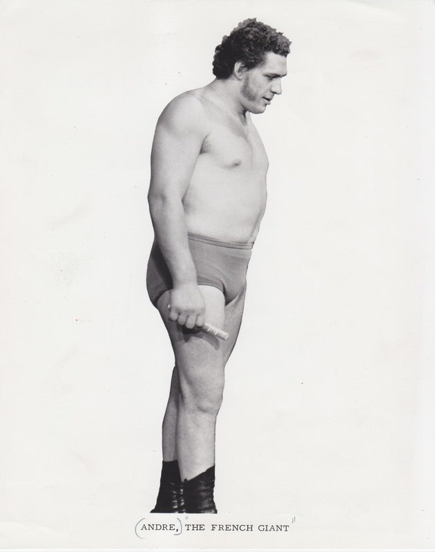 1972 Andre The French Giant vintage Promo Photo PWcatalog