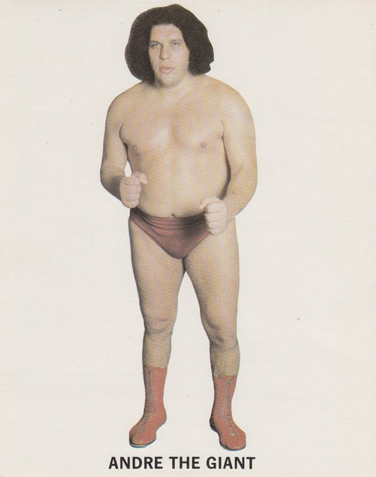 Promo-Photo-Territories-1980's-WWWF-Andre the Giant 