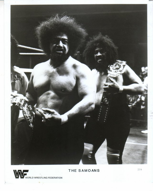 1983 WWF TAG TEAM CHAMPIONS Samoans #214a PWcatalog
