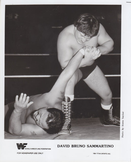 1984 David Bruno Sammartino (RARE)