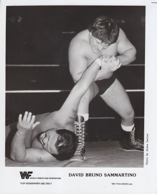 1984 David Bruno Sammartino (RARE) PWcatalog