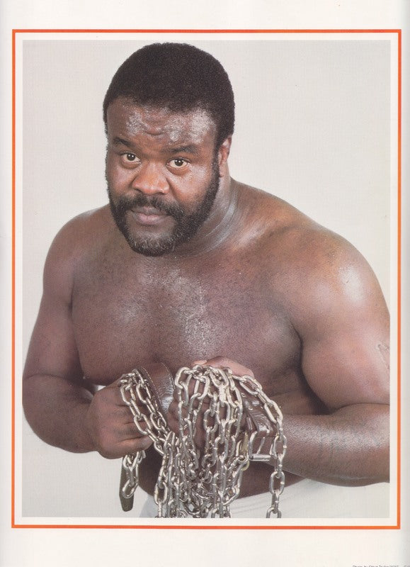 1986 Junk Yard Dog 10x12 Titan Sports color promo (copyright at bottom) PWcatalog