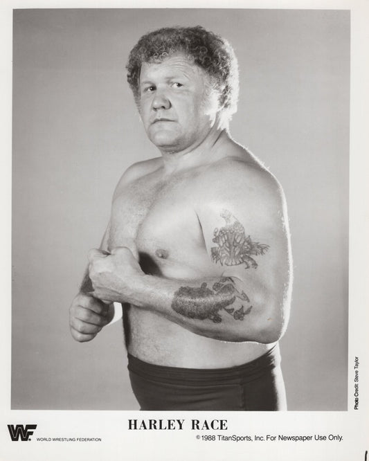 1986 Harley Race