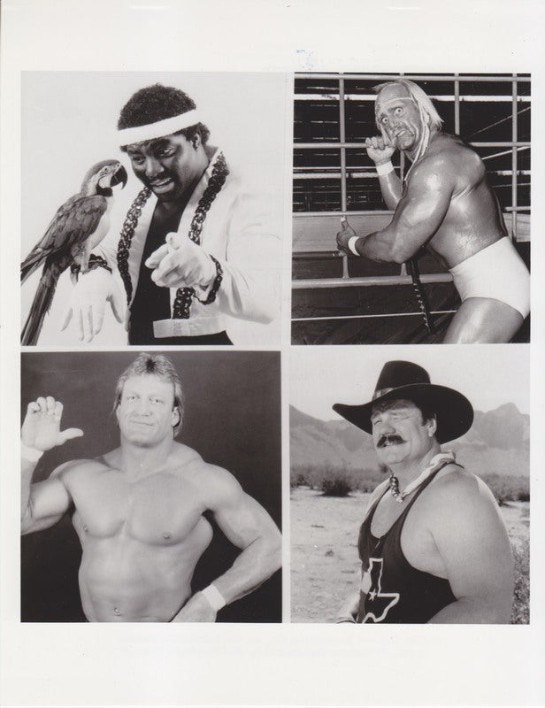 1987 NBC Saturday Night's Main Event#10 Hogan, Koko, Mulligan Orndorff in Battle Royal PWcatalog