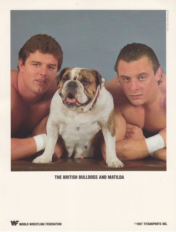 WWF-Promo-Photos1987-British-Bulldogs-Matilda-color-