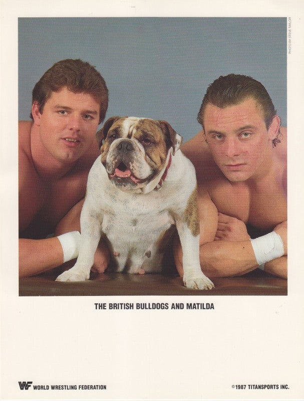 1987 British Bulldogs w/Matilda Color