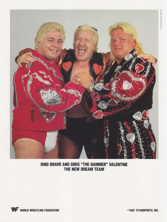 1987 The New Dream Team (Bravo,Valentine w/Valiant) color PWcatalog