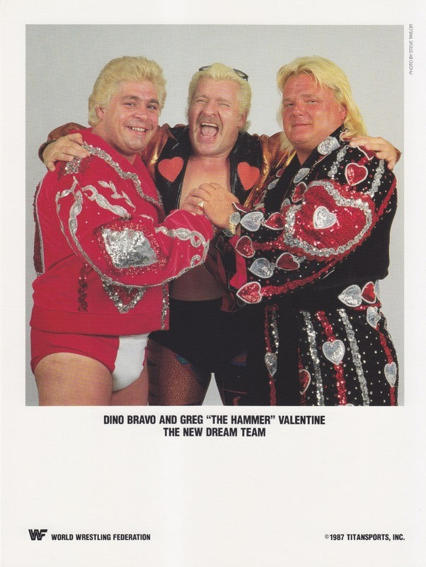 1987 The New Dream Team (Bravo,Valentine w/Valiant) color PWcatalog