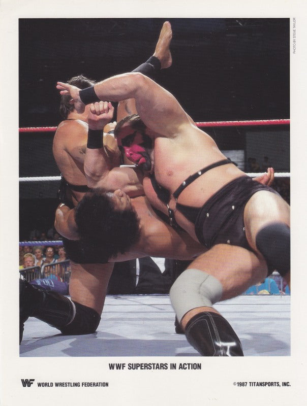 1987 Demolition (WWF Superstars in action) color PWcatalog