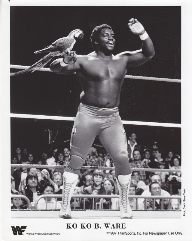 1987 Ko Ko B. Ware PWcatalog