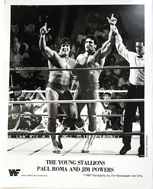 WWF-Promo-Photos1988-Young-Stallions-