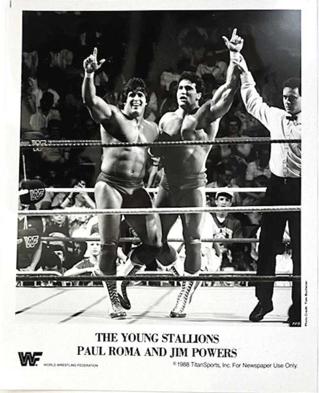 1988 Young Stallions PWcatalog
