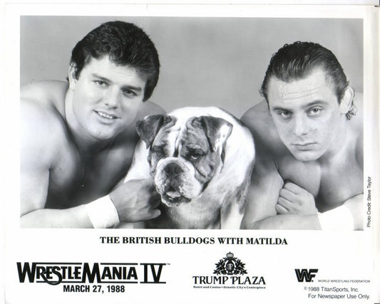 1988 British Bulldogs w/Matilda WM4