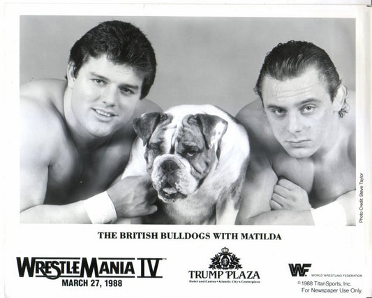 WWF-Promo-Photos1988-British-Bulldogs-Matilda-WM4-