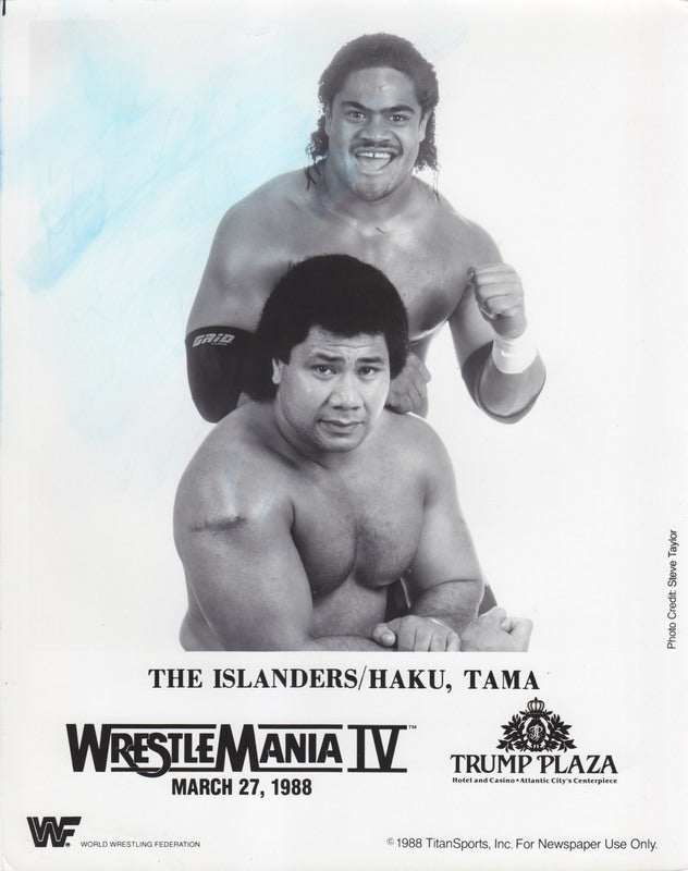 1988 Islanders WM 4 PWcatalog