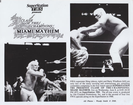 NWA: TBS Clash of the Champions II (Sting/Windham)