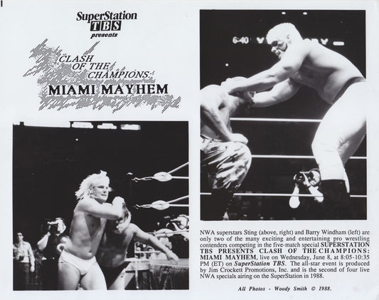 NWA: TBS Clash of the Champions II (Sting/Windham) 