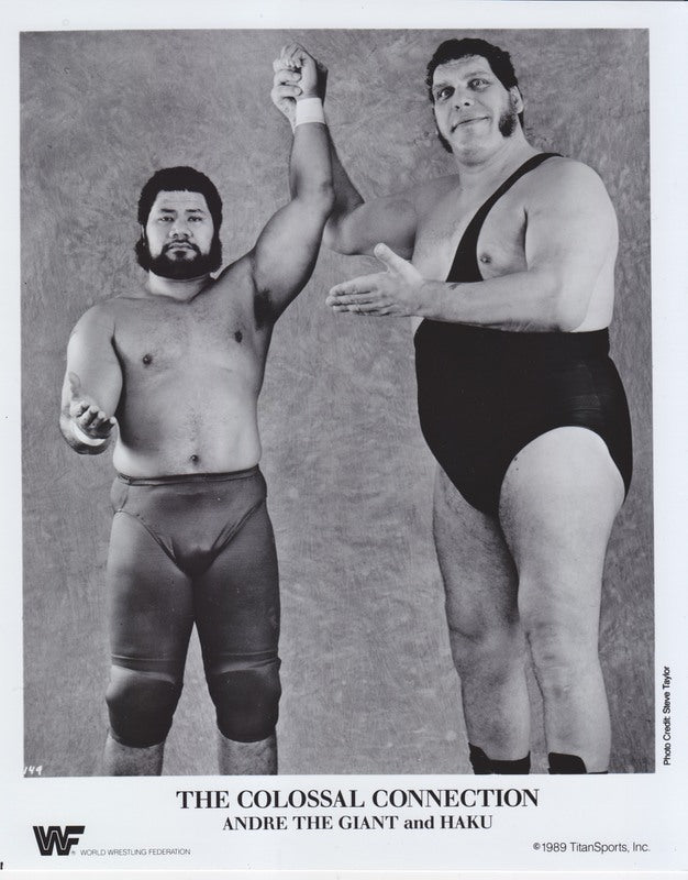 1989 Colossal Connection (Andre The Giant Haku) – PW Catalog