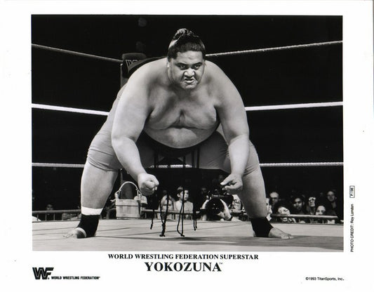 1993 Yokozuna P198 (RARE) b/w 