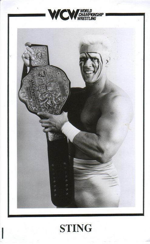 NWA CHAMPION Sting 5x8 PW Catalog